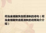 何当金络脑快走踏清秋的诗句（何当金络脑快走踏清秋的诗意简介介绍）