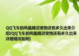 QQ飞车的凤凰精灵宠物还有多久出来介绍(QQ飞车的凤凰精灵宠物还有多久出来详细情况如何)