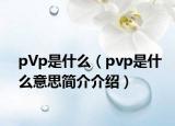 pVp是什么（pvp是什么意思简介介绍）
