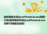 如何彻底关闭QvodTerminal.exe进程?介绍(如何彻底关闭QvodTerminal.exe进程?详细情况如何)