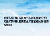 明星和狗仔队应该怎么和谐的相处介绍(明星和狗仔队应该怎么和谐的相处详细情况如何)