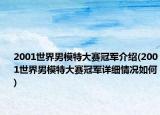 2001世界男模特大赛冠军介绍(2001世界男模特大赛冠军详细情况如何)