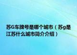 苏G车牌号是哪个城市（苏g是江苏什么城市简介介绍）