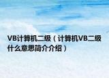 VB计算机二级（计算机VB二级什么意思简介介绍）