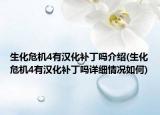 生化危机4有汉化补丁吗介绍(生化危机4有汉化补丁吗详细情况如何)