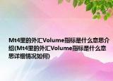 Mt4里的外汇Volume指标是什么意思介绍(Mt4里的外汇Volume指标是什么意思详细情况如何)