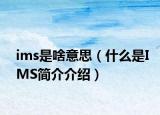ims是啥意思（什么是IMS简介介绍）