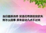 当日最新消息 安逸花有额度放款失败怎么回事 原来是这几点不过关