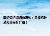 毒组词组词语有哪些（毒能组什么词语简介介绍）