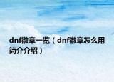 dnf徽章一览（dnf徽章怎么用简介介绍）