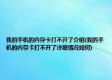 我的手机的内存卡打不开了介绍(我的手机的内存卡打不开了详细情况如何)
