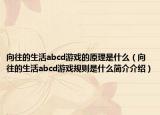 向往的生活abcd游戏的原理是什么（向往的生活abcd游戏规则是什么简介介绍）