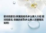 歌词找歌名(寂寞的夜色多么撩人介绍 歌词找歌名 寂寞的夜色多么撩人详细情况如何)