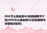 DNF怎么猜金刚GO的隐藏数字介绍(DNF怎么猜金刚GO的隐藏数字详细情况如何)