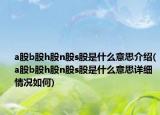 a股b股h股n股s股是什么意思介绍(a股b股h股n股s股是什么意思详细情况如何)