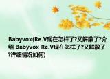 Babyvox(Re.V现在怎样了?又解散了?介绍 Babyvox Re.V现在怎样了?又解散了?详细情况如何)