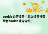 cookie如何设置（怎么设置接受所有cookie简介介绍）