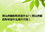 爬山虎脚的形状是什么?（爬山虎脚的形状是什么简介介绍）