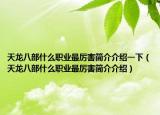天龙八部什么职业最厉害简介介绍一下（天龙八部什么职业最厉害简介介绍）