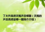 丁太升高进天赐声音哪期（天赐的声音高进是哪一期简介介绍）