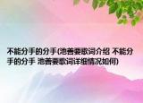 不能分手的分手(池善要歌词介绍 不能分手的分手 池善要歌词详细情况如何)