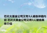 芯片大基金公司又有3人被查详细内容 芯片大基金公司又有3人被查具体介绍
