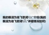 我的眼泪为谁飞歌词\