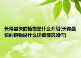 长得最快的植物是什么介绍(长得最快的植物是什么详细情况如何)