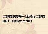 三翻四复形容什么动物（三翻四复打一动物简介介绍）