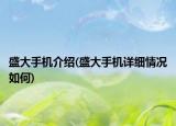 盛大手机介绍(盛大手机详细情况如何)