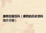 康熙百度百科（康熙的历史资料简介介绍）