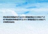 郑家榆和孙耀威为什么分手(曾讽赵薇走红全靠运气介绍 郑家榆和孙耀威为什么分手 曾讽赵薇走红全靠运气详细情况如何)