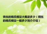 铁丝的杨氏模量大概是多少（钢丝的杨氏模量一般多少简介介绍）