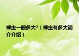 蜱虫一般多大?（蜱虫有多大简介介绍）