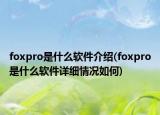 foxpro是什么软件介绍(foxpro是什么软件详细情况如何)