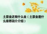 土豪金还有什么金（土豪金是什么意思简介介绍）