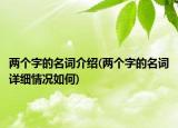 两个字的名词介绍(两个字的名词详细情况如何)