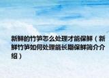 新鲜的竹笋怎么处理才能保鲜（新鲜竹笋如何处理能长期保鲜简介介绍）
