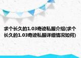 求个长久的1.03奇迹私服介绍(求个长久的1.03奇迹私服详细情况如何)