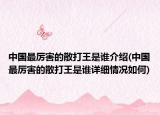 中国最厉害的散打王是谁介绍(中国最厉害的散打王是谁详细情况如何)