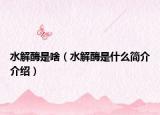 水解酶是啥（水解酶是什么简介介绍）