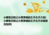 小鲤鱼历险记小美美唱的左手右手介绍(小鲤鱼历险记小美美唱的左手右手详细情况如何)
