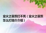 业火之菲茨打不死（业火之菲茨怎么打简介介绍）
