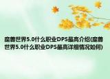 魔兽世界5.0什么职业DPS最高介绍(魔兽世界5.0什么职业DPS最高详细情况如何)