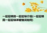 一层层梯田一层层绿介绍(一层层梯田一层层绿详细情况如何)