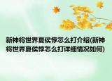 新神将世界夏侯惇怎么打介绍(新神将世界夏侯惇怎么打详细情况如何)