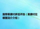 推荐莱康村参加评选（莱康村在哪里简介介绍）