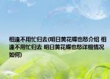 相逢不用忙归去(明日黄花蝶也愁介绍 相逢不用忙归去 明日黄花蝶也愁详细情况如何)