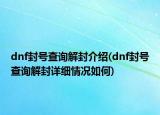 dnf封号查询解封介绍(dnf封号查询解封详细情况如何)