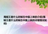 海贼王是什么时候在中国上映的介绍(海贼王是什么时候在中国上映的详细情况如何)